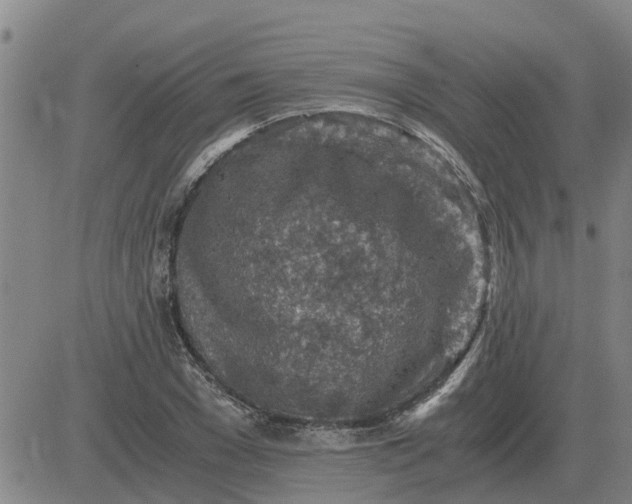 X0000084030977200703022118