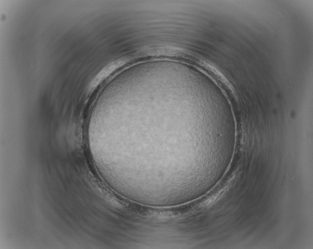 X0000084030978200703022118