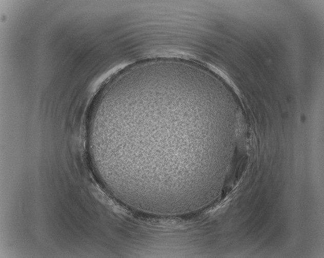 X0000084030979200703022118