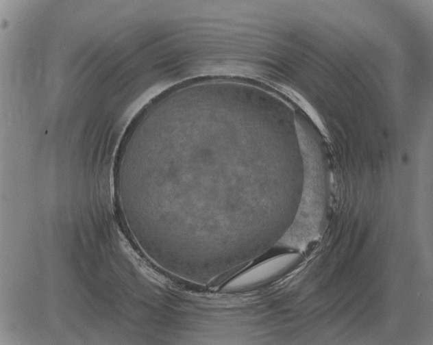 X0000084030980200703022118