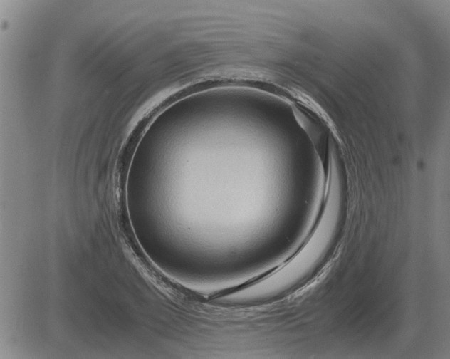 X0000084030981200703022118