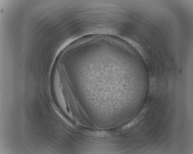 X0000084030982200703022118