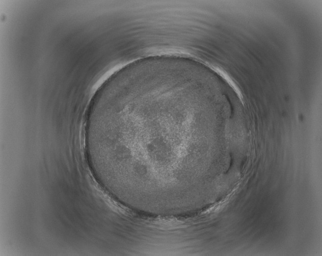 X0000084030983200703022118