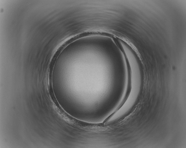 X0000084030984200703022118