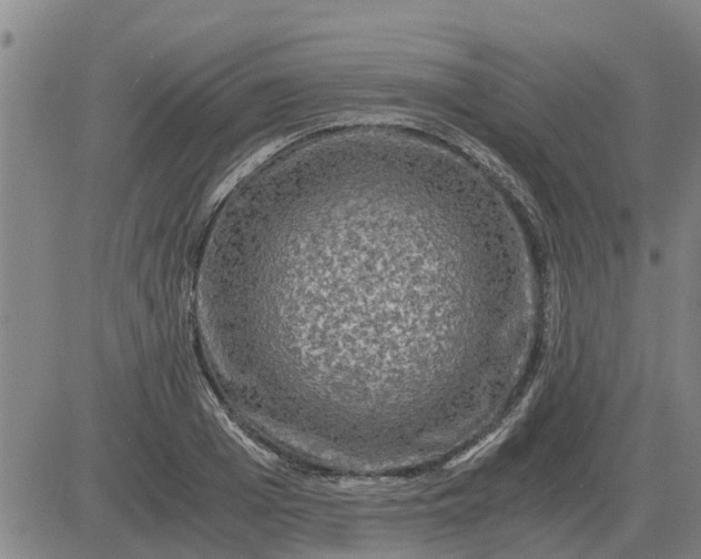 X0000084030985200703022118