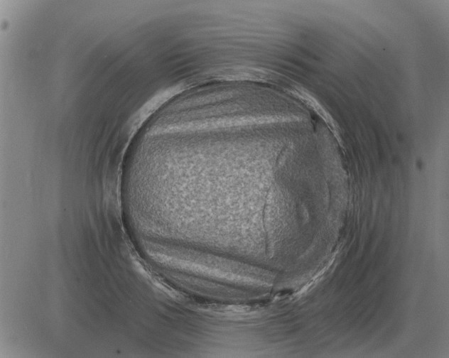 X0000084030986200703022118