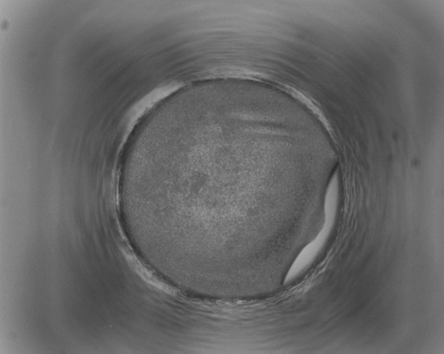 X0000084030987200703022118