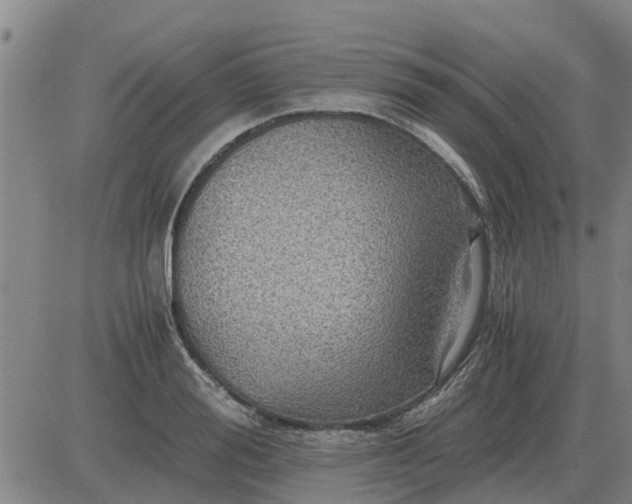 X0000084030988200703022118