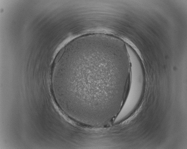 X0000084030989200703022118