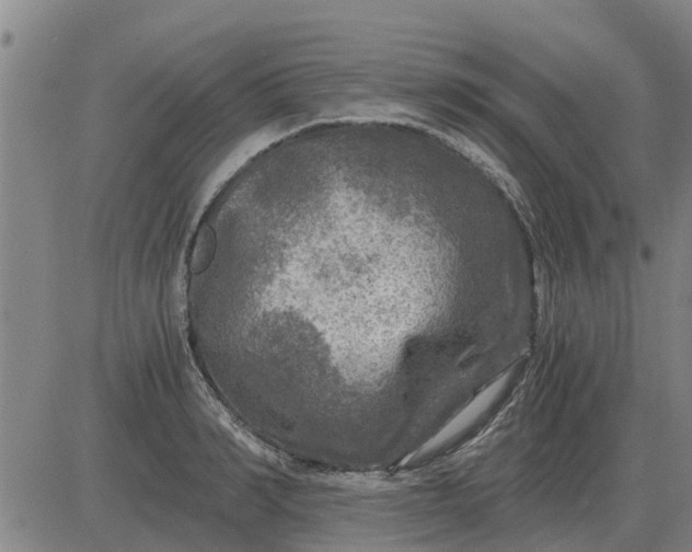 X0000084030990200703022118