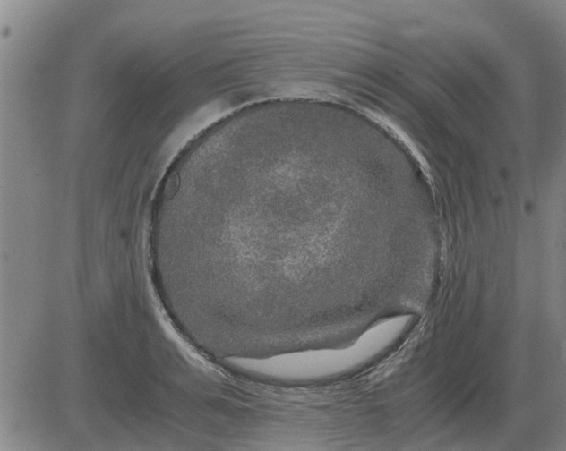 X0000084030991200703022118