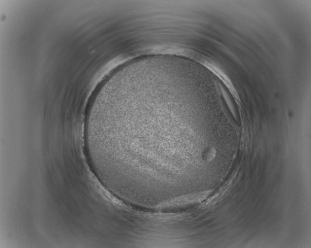 X0000084030992200703022118