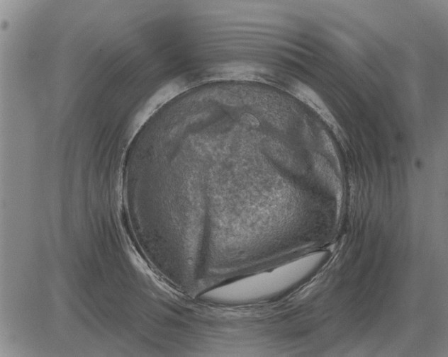 X0000084030994200703022118