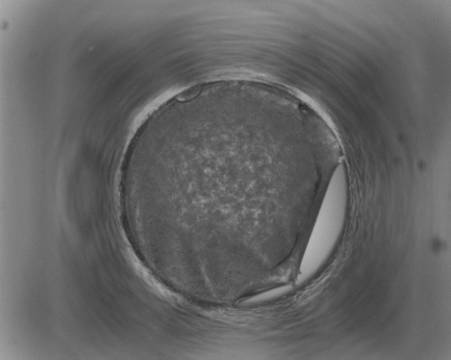 X0000084030995200703022118