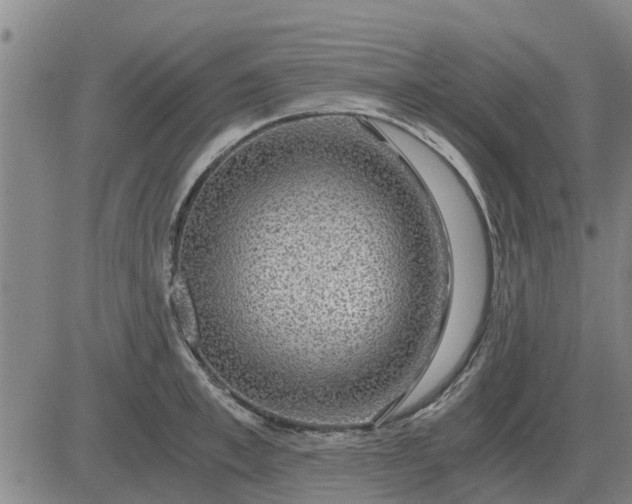 X0000084030997200703022118