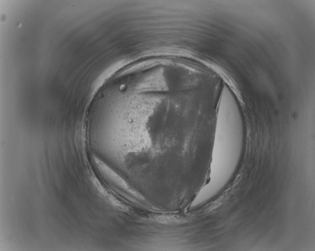 X0000084030998200703022118