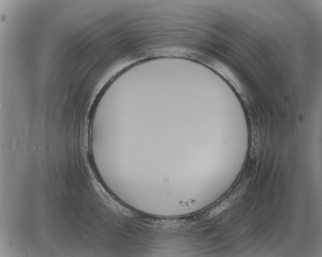 X0000084031000200703022118