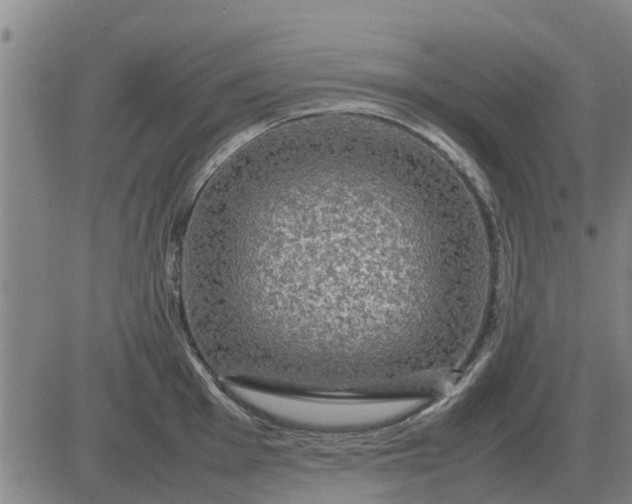 X0000084031001200703022118