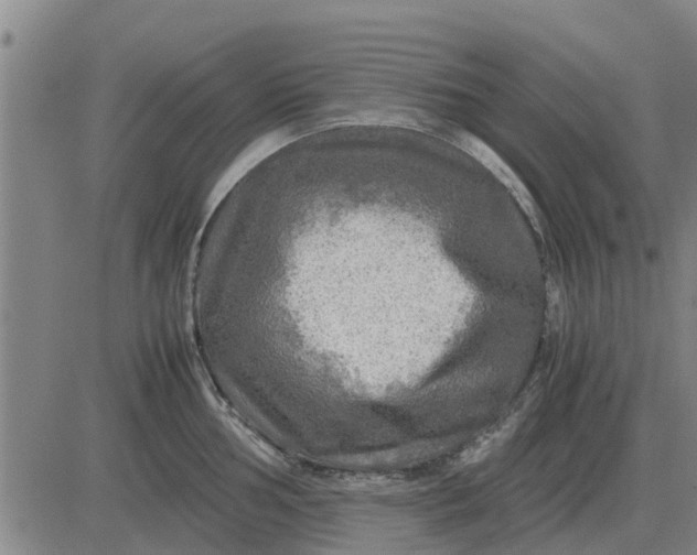 X0000084031002200703022118