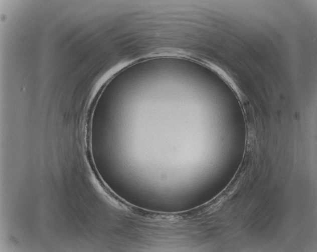 X0000084031003200703022118