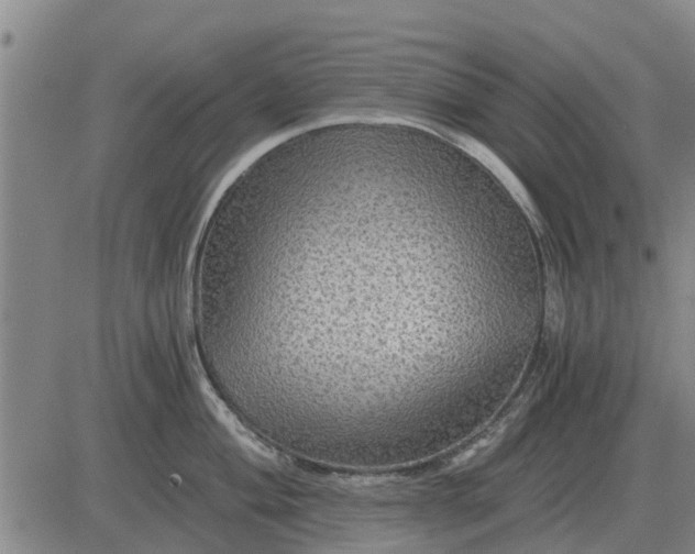 X0000084031004200703022118