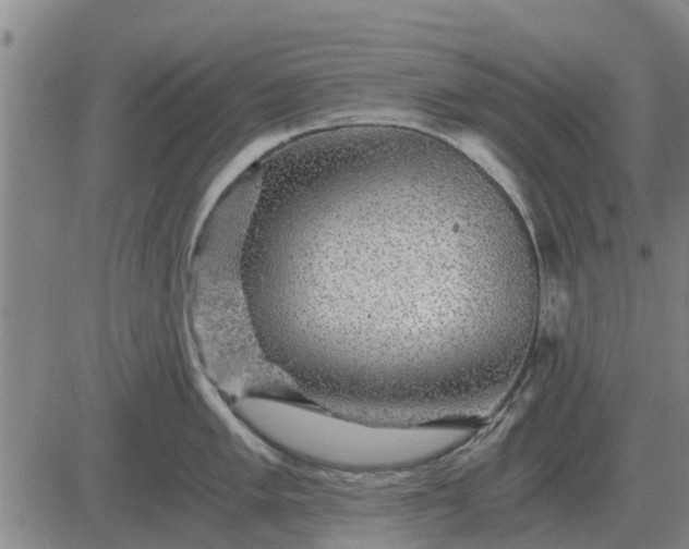 X0000084031005200703022118