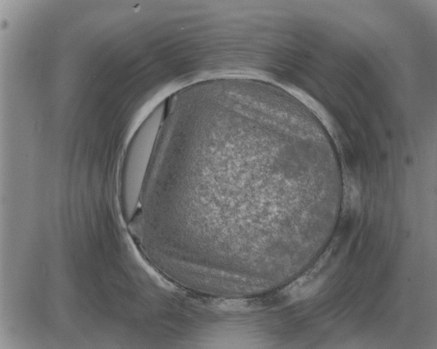 X0000084031006200703022118