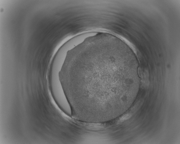 X0000084031007200703022118