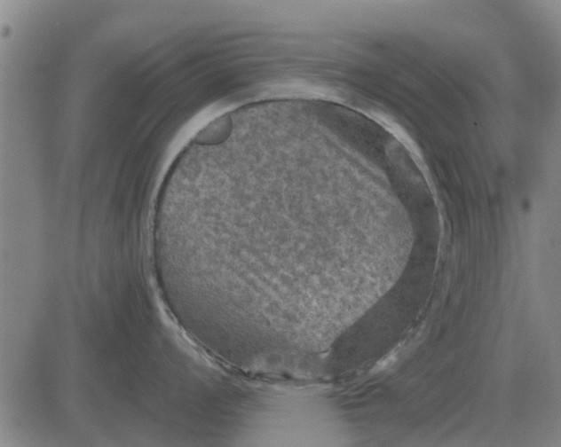 X0000084031008200703022118