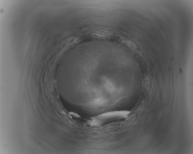 X0000084031009200703022117