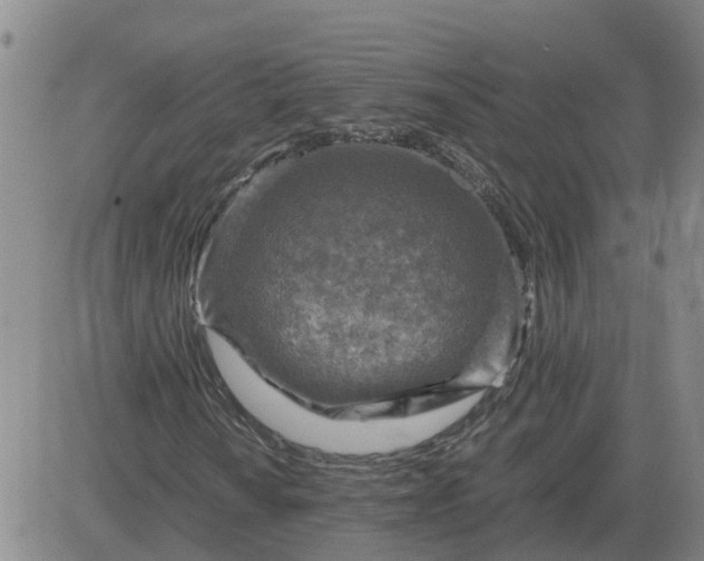 X0000084031010200703022117