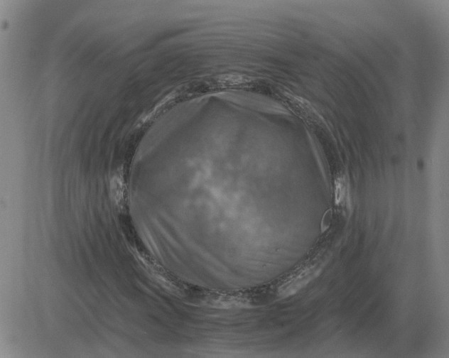 X0000084031011200703022117