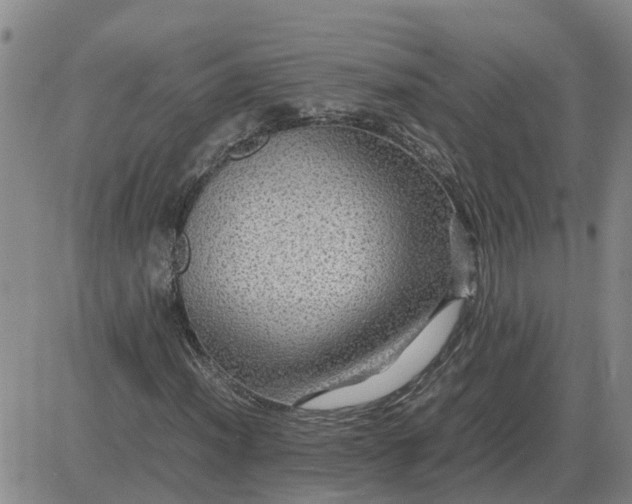 X0000084031012200703022117