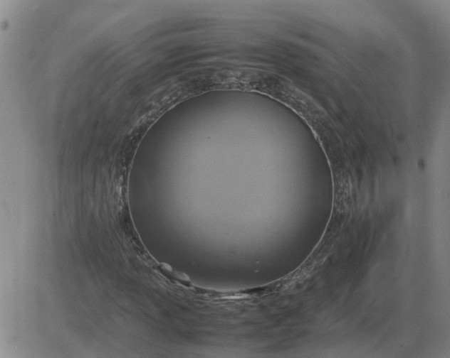 X0000084031013200703022117