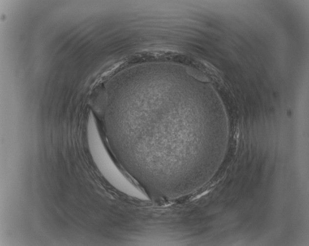 X0000084031014200703022117