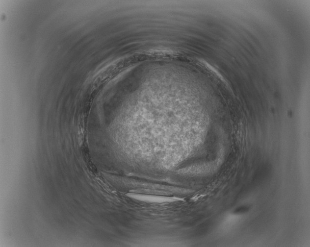 X0000084031015200703022117