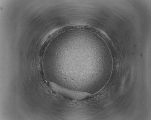 X0000084031016200703022117