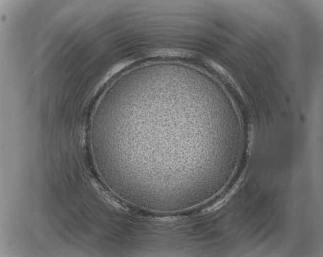 X0000084031017200703022117