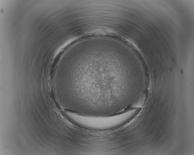 X0000084031018200703022117