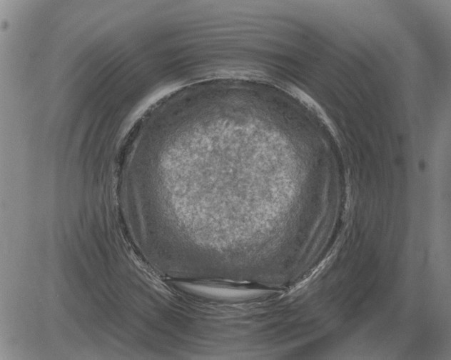 X0000084031019200703022117