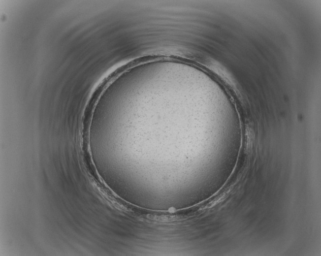 X0000084031020200703022117