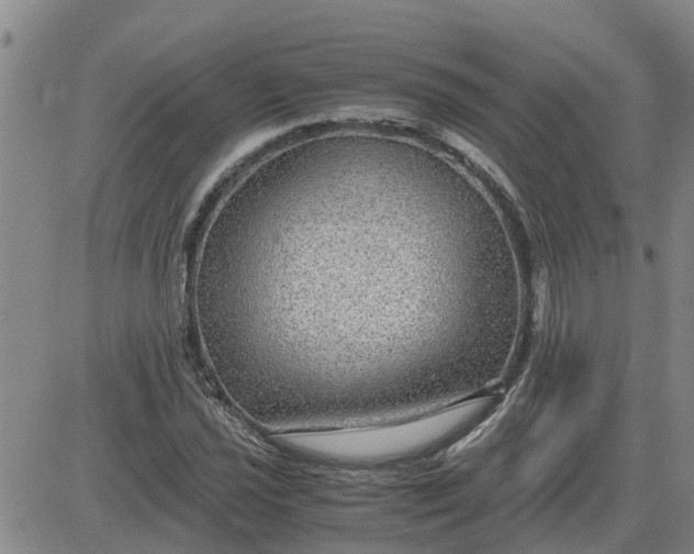 X0000084031021200703022117