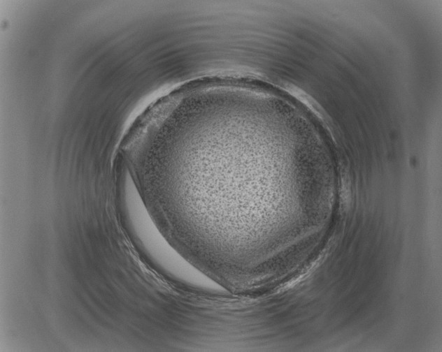 X0000084031022200703022117