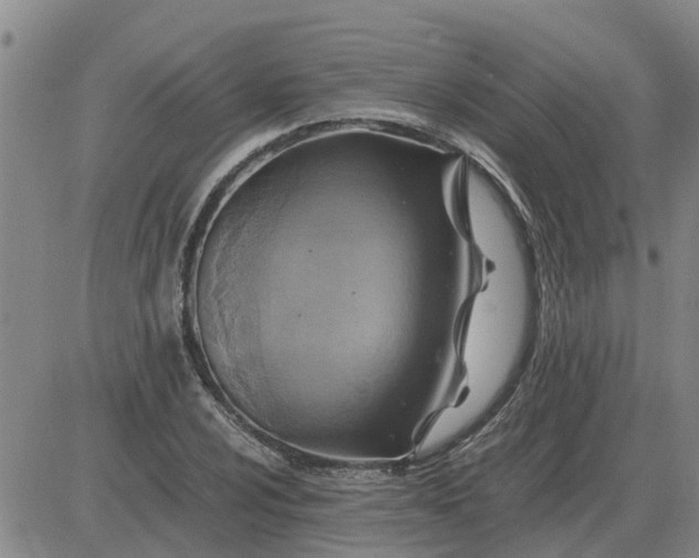 X0000084031024200703022117