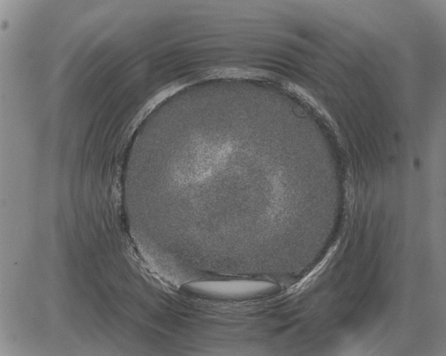 X0000084031025200703022117