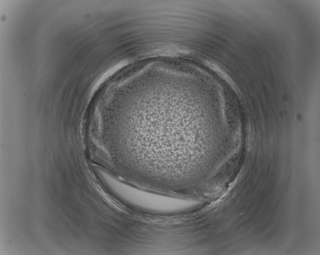 X0000084031026200703022117