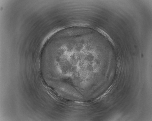 X0000084031027200703022117