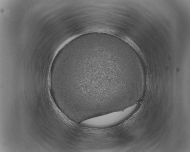 X0000084031028200703022117