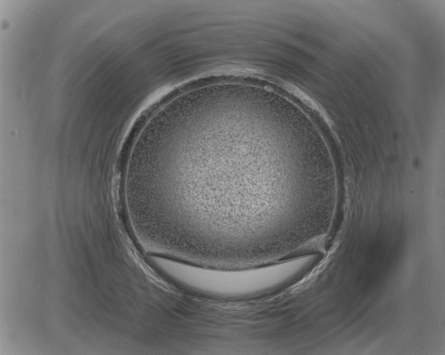 X0000084031029200703022117