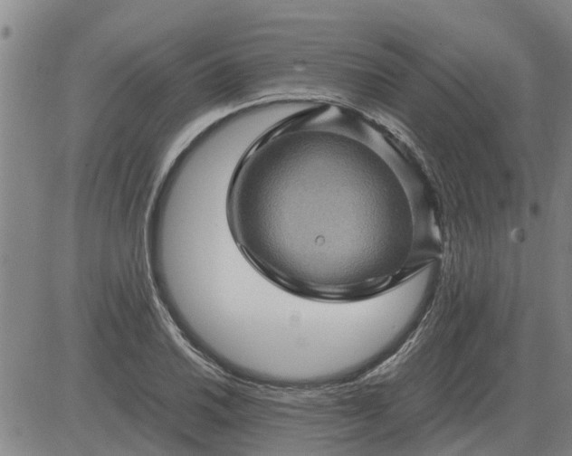 X0000084031030200703022117